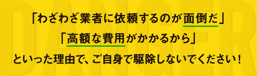 ご自身で駆除しないでください！