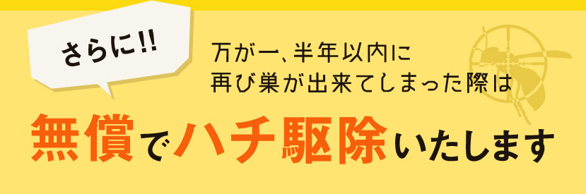 再び巣が出来てしまった場合には無償でハチ駆除いたします